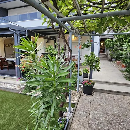 Konukevi Acapella Soba